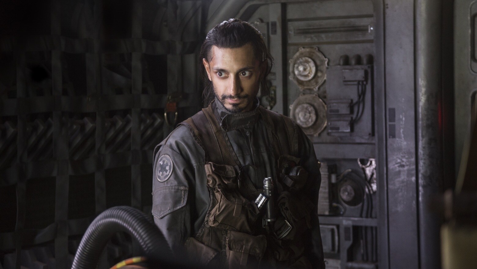 Bodhi Rook
