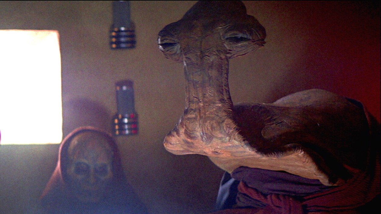 Momaw Nadon
