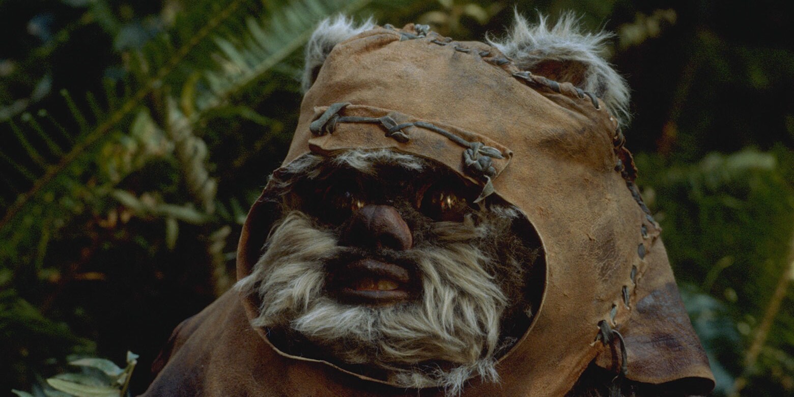 Wicket Systri Warrick